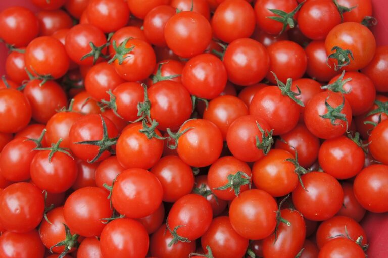 cherry tomato, tomato, fruit, dessert, diet, red, cherry tomato, cherry tomato, cherry tomato, cherry tomato, cherry tomato, tomato