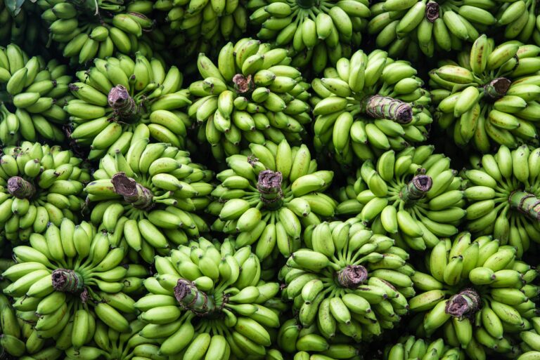 A vibrant display of fresh green bananas in abundance at a market in Hampi, India.